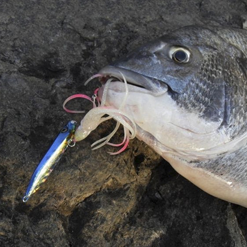 OBSESSION J25 Inchiku Squid Lu - Fishing Lure Buzzbait avis et prix